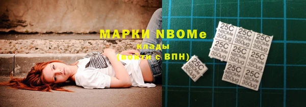 PSILOCYBIN Вяземский