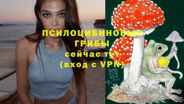 соль ск Вязьма