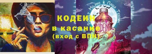 PSILOCYBIN Вяземский