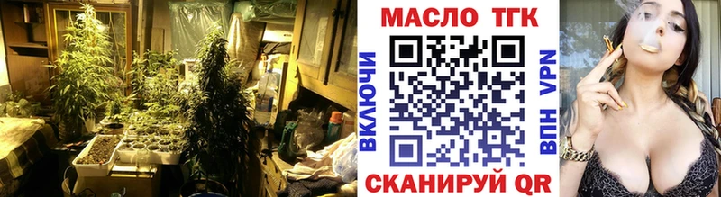 блэк спрут вход  наркота  Бердск  ТГК гашишное масло 