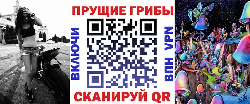 Галлюциногенные грибы Psilocybine cubensis  Бердск 