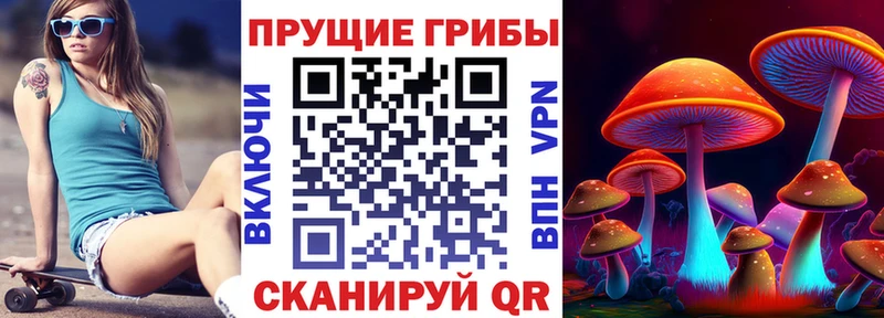 Псилоцибиновые грибы мицелий Бердск