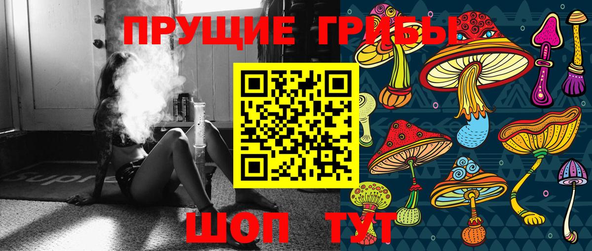 Галлюциногенные грибы Magic Shrooms Бердск