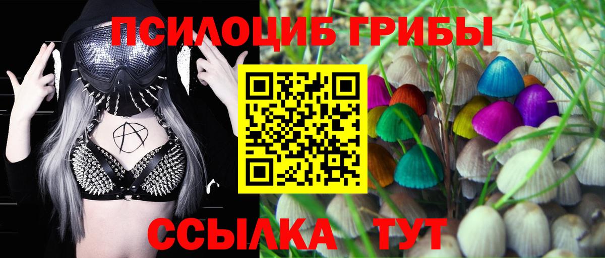 Галлюциногенные грибы Magic Shrooms  Бердск  Галлюциногенные грибы прущие грибы 