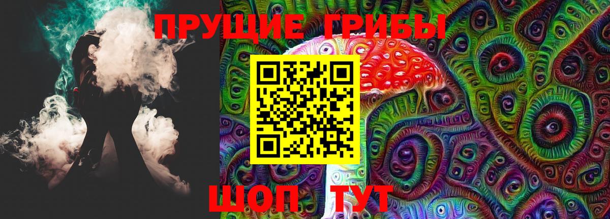 Бердск  Псилоцибиновые грибы Magic Shrooms  Вход с VPN  Псилоцибиновые грибы Psilocybe 