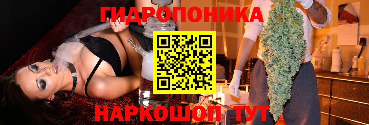 Канабис White Widow Бердск